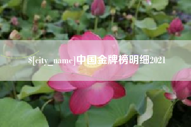西藏中国金牌榜明细2021