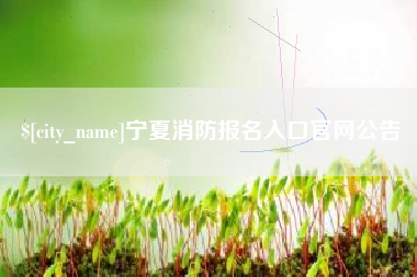 西藏宁夏消防报名入口官网公告