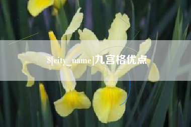西藏九宫格优点