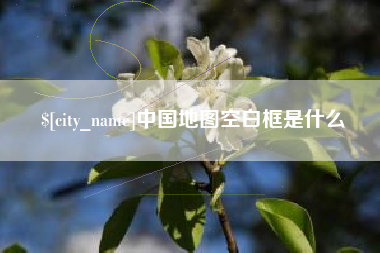 西藏中国地图空白框是什么