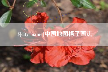 西藏中国地图格子画法