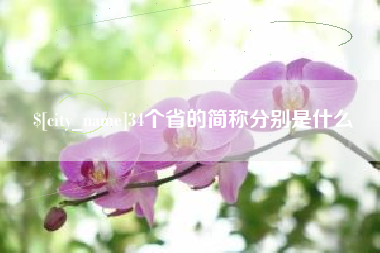 西藏34个省的简称分别是什么