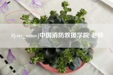西藏中国消防救援学院 老师