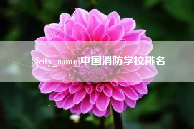 西藏中国消防学校排名
