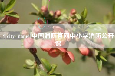 西藏中国消防官网中小学消防公开课