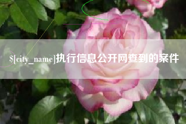 西藏执行信息公开网查到的案件
