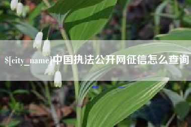 西藏中国执法公开网征信怎么查询