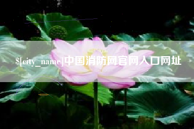 西藏中国消防网官网入口网址