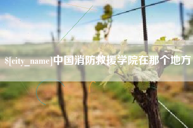 西藏中国消防救援学院在那个地方