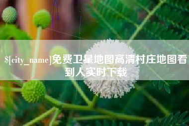 西藏免费卫星地图高清村庄地图看到人实时下载