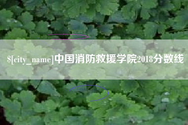西藏中国消防救援学院2018分数线