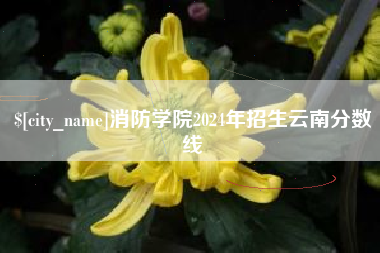 西藏消防学院2024年招生云南分数线