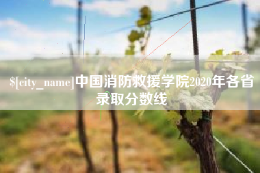 西藏中国消防救援学院2020年各省录取分数线