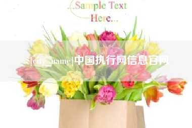 西藏中国执行网信息官网