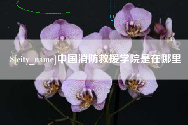 西藏中国消防救援学院是在哪里