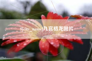 西藏九宫格龙图片