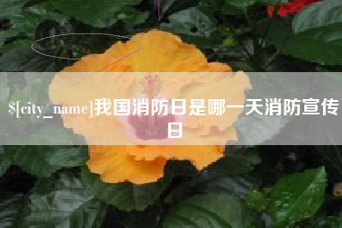 西藏我国消防日是哪一天消防宣传日
