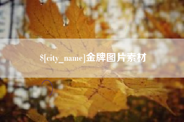 西藏金牌图片素材