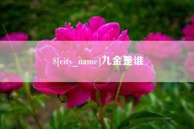 西藏九金是谁