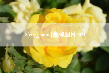 西藏金牌图片2021