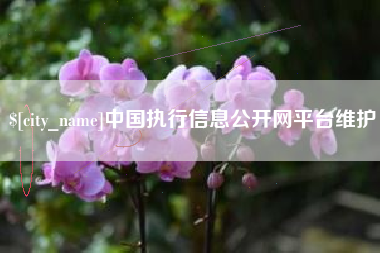 西藏中国执行信息公开网平台维护