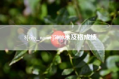 西藏5000米及格成绩