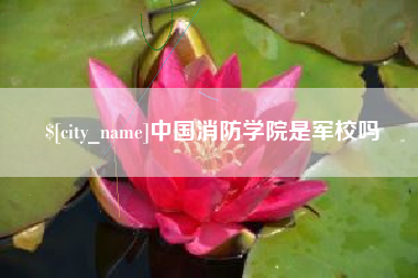 西藏中国消防学院是军校吗