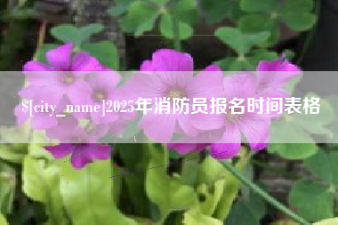 西藏2025年消防员报名时间表格