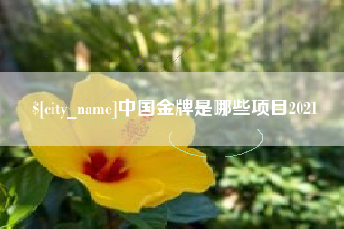 西藏中国金牌是哪些项目2021