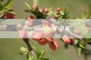 西藏2021年9宫格