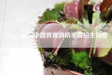 西藏中国救援消防学院招生简章