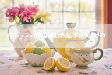 西藏中国消防救援学院分数2020