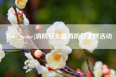 西藏消防日全国消防日主题活动