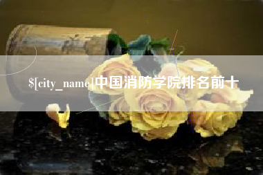 西藏中国消防学院排名前十