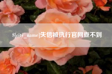 西藏失信被执行官网查不到
