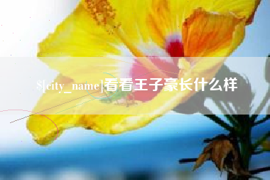 西藏看看王子豪长什么样