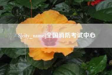 西藏全国消防考试中心