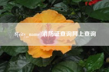 西藏消防证查询网上查询