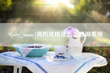 西藏消防资格证怎么查询系统