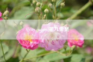 西藏第九金是