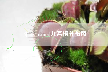 西藏九宫格分布图