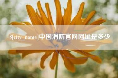 西藏中国消防官网网址是多少