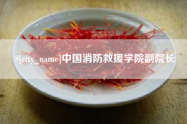 西藏中国消防救援学院副院长