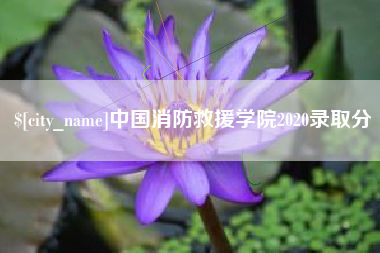 西藏中国消防救援学院2020录取分