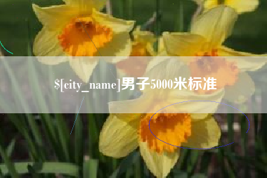 西藏男子5000米标准