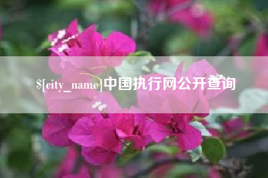 西藏中国执行网公开查询