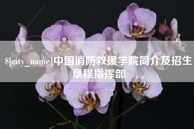 西藏中国消防救援学院简介及招生章程指挥部