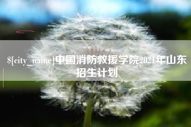 西藏中国消防救援学院2021年山东招生计划