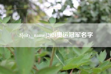 西藏2024奥运冠军名字