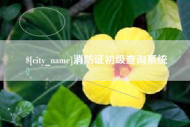 西藏消防证初级查询系统